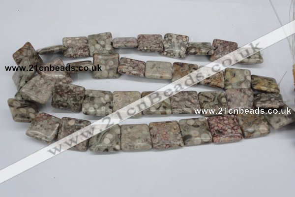 CMB22 15.5 inches 20*20mm square natural medical stone beads