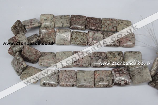 CMB23 15.5 inches 25*25mm square natural medical stone beads