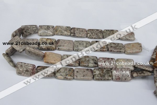 CMB27 15.5 inches 18*25mm rectangle natural medical stone beads