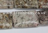 CMB28 15.5 inches 20*30mm rectangle natural medical stone beads