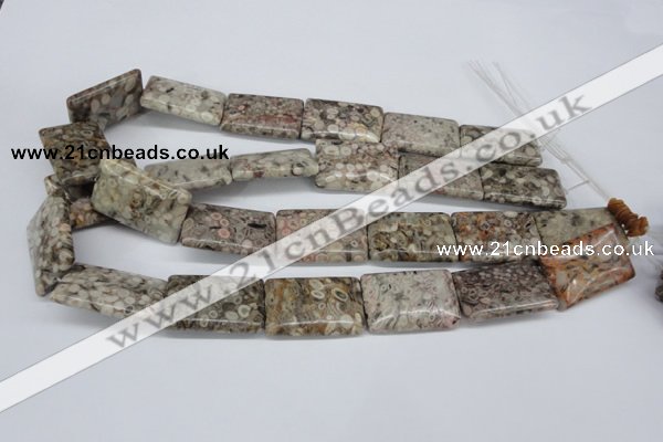 CMB28 15.5 inches 20*30mm rectangle natural medical stone beads