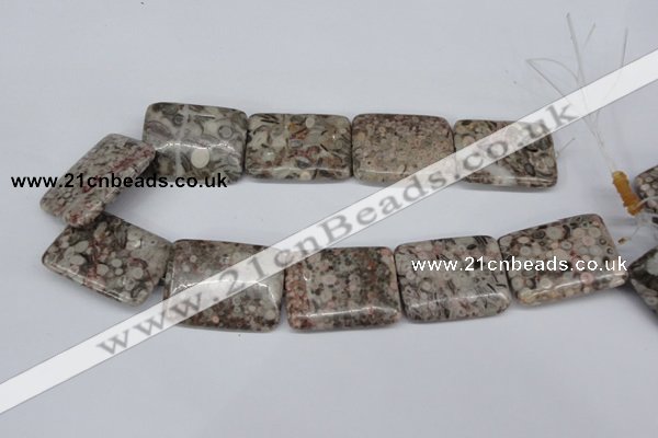 CMB29 15.5 inches 30*40mm rectangle natural medical stone beads