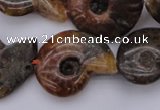 CMM01 15.5 inches 13*18mm - 30*35mm carved ammonite gemstone beads