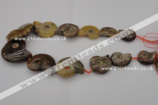 CMM02 15.5 inches 18*25mm - 35*45mm carved ammonite gemstone beads