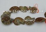 CMM03 15.5 inches 35*45mm - 45*55mm carved ammonite gemstone beads