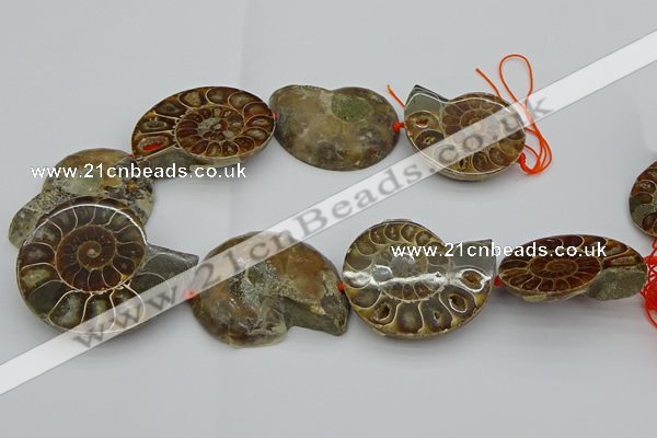 CMM03 15.5 inches 35*45mm - 45*55mm carved ammonite gemstone beads