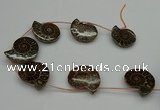 CMM05 15.5 inches 30*35mm - 35*40mm carved ammonite gemstone beads