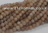 CMS01 15.5 inches 4mm round moonstone gemstone beads wholesale