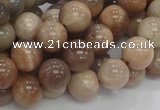 CMS03 15.5 inches 10mm round moonstone gemstone beads wholesale