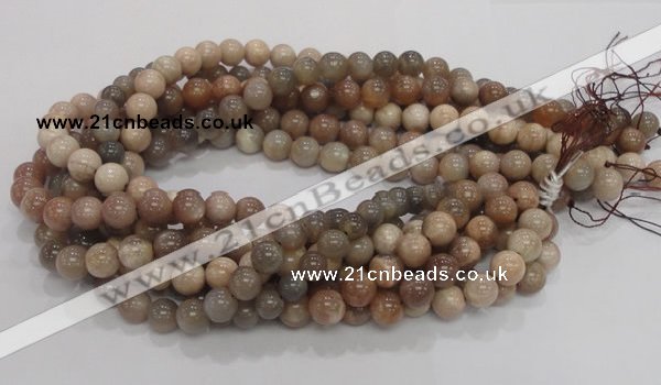 CMS03 15.5 inches 10mm round moonstone gemstone beads wholesale