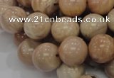 CMS04 15.5 inches 18mm round moonstone gemstone beads wholesale