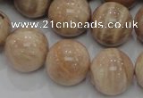 CMS05 15.5 inches 20mm round moonstone gemstone beads wholesale