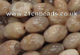 CMS07 15.5 inches 10*14mm rice moonstone gemstone beads wholesale