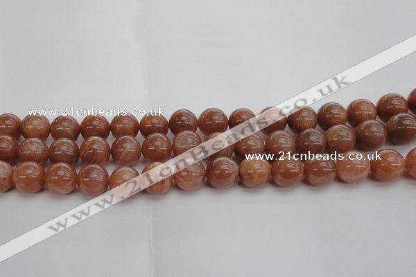 CMS1005 15.5 inches 14mm round AA grade moonstone gemstone beads