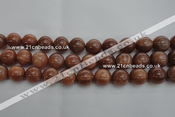 CMS1006 15.5 inches 16mm round AA grade moonstone gemstone beads