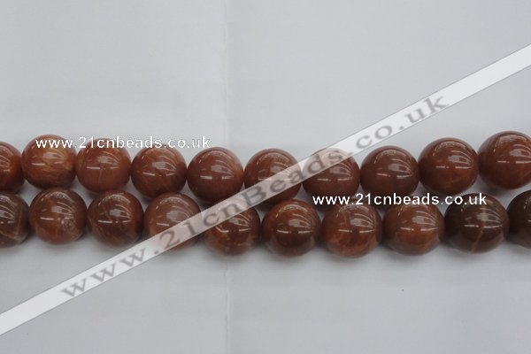 CMS1008 15.5 inches 20mm round AA grade moonstone gemstone beads