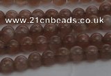 CMS1020 15.5 inches 4mm round AA grade moonstone gemstone beads