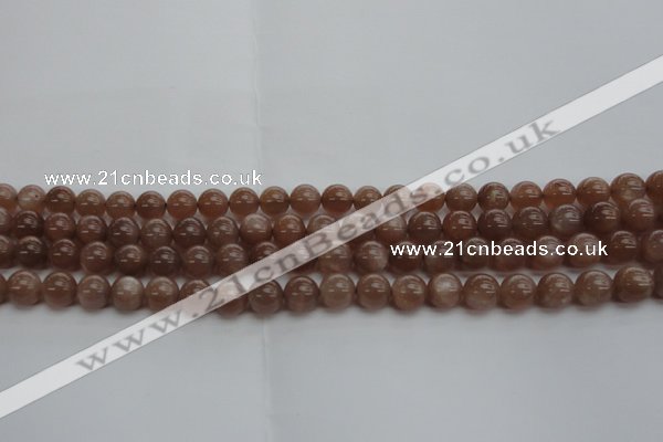 CMS1022 15.5 inches 8mm round AA grade moonstone gemstone beads