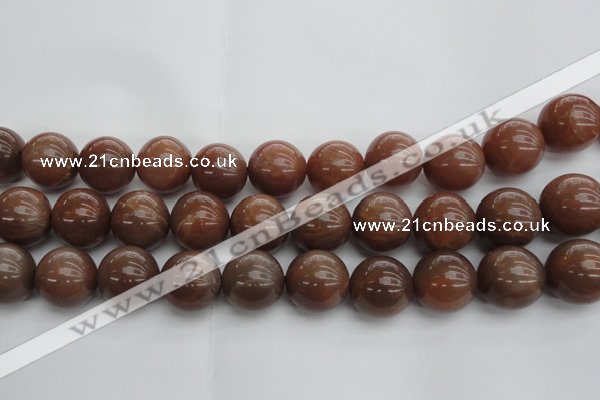 CMS1026 15.5 inches 16mm round AA grade moonstone gemstone beads