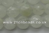 CMS1043 15.5 inches 10mm faceted round A grade white moonstone beads