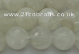 CMS1045 15.5 inches 14mm faceted round A grade white moonstone beads