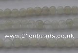 CMS1050 15.5 inches 4mm round grey moonstone beads wholesale