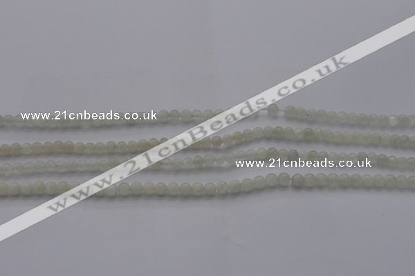 CMS1050 15.5 inches 4mm round grey moonstone beads wholesale