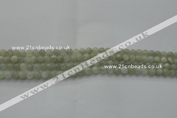 CMS1051 15.5 inches 6mm round grey moonstone beads wholesale