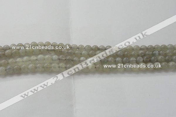 CMS1057 15.5 inches 6mm round grey moonstone beads wholesale