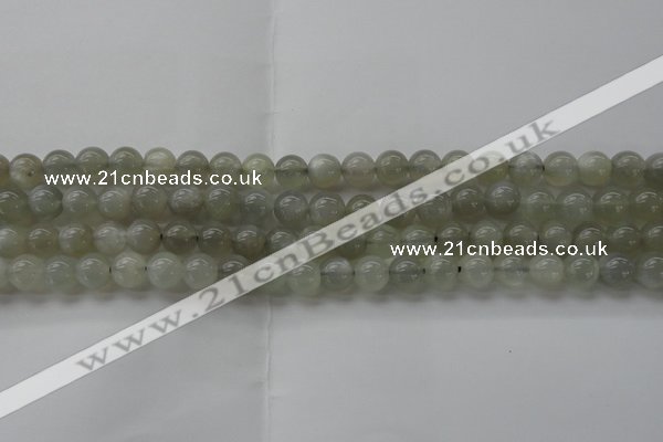 CMS1058 15.5 inches 8mm round grey moonstone beads wholesale