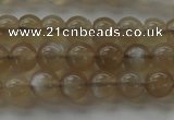 CMS1064 15.5 inches 6mm round grey moonstone beads wholesale
