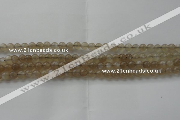 CMS1064 15.5 inches 6mm round grey moonstone beads wholesale