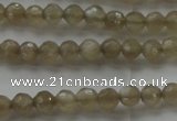 CMS1066 15.5 inches 4mm faceted round grey moonstone beads wholesale