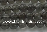 CMS1071 15.5 inches 6mm round grey moonstone beads wholesale