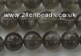 CMS1073 15.5 inches 10mm round grey moonstone beads wholesale