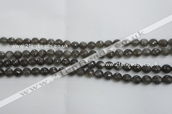 CMS1076 15.5 inches 8mm faceted round grey moonstone beads wholesale
