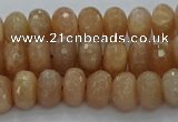 CMS1092 15.5 inches 6*10mm faceted rondelle moonstone beads