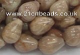 CMS11 15.5 inches 14*18mm teardrop moonstone gemstone beads wholesale