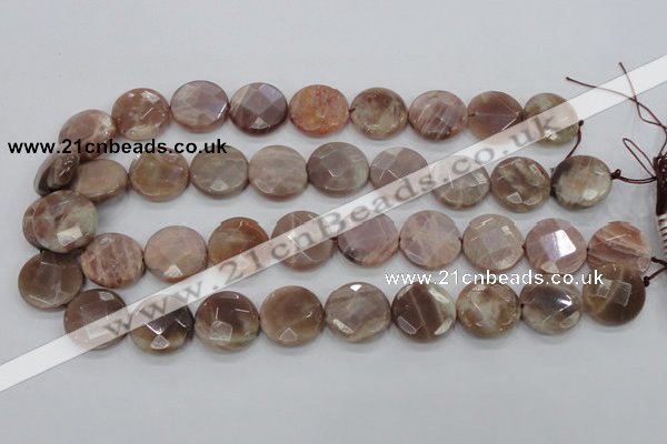 CMS113 15.5 inches 20mm faceted coin moonstone gemstone beads