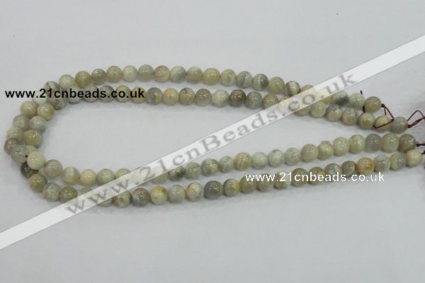 CMS120 15.5 inches 8mm round moonstone gemstone beads wholesale