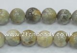 CMS122 15.5 inches 12mm round moonstone gemstone beads wholesale