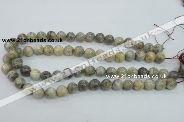 CMS122 15.5 inches 12mm round moonstone gemstone beads wholesale