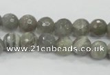 CMS124 15.5 inches 10mm faceted round moonstone gemstone beads