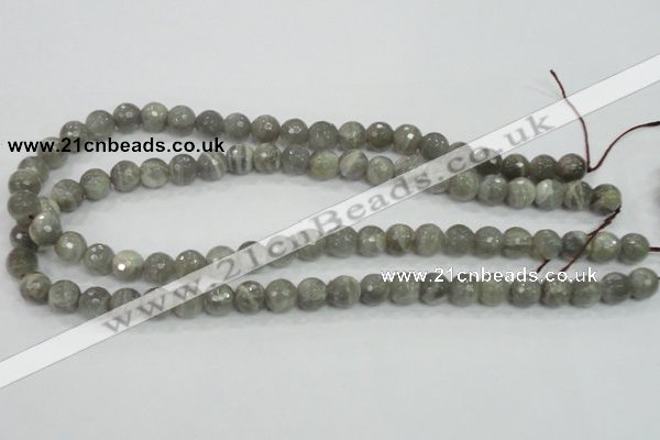 CMS124 15.5 inches 10mm faceted round moonstone gemstone beads