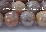 CMS1305 15.5 inches 14mm faceted round AB-color moonstone beads