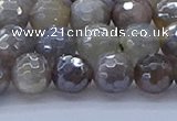 CMS1312 15.5 inches 8mm faceted round AB-color grey moonstone beads