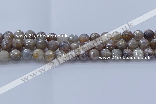 CMS1313 15.5 inches 10mm faceted round AB-color grey moonstone beads