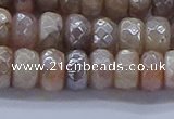 CMS1322 15.5 inches 5*8mm faceted rondelle AB-color moonstone beads