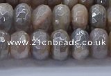 CMS1333 15.5 inches 6*10mm faceted rondelle AB-color grey moonstone beads