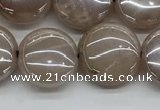 CMS1348 15.5 inches 12mm flat round AB-color moonstone beads